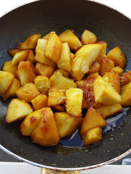 piskota_gastrobertollini_