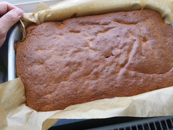 piskota_gastrobertollini_