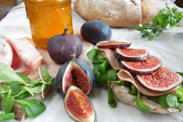 -gastrobertollini-nyito-