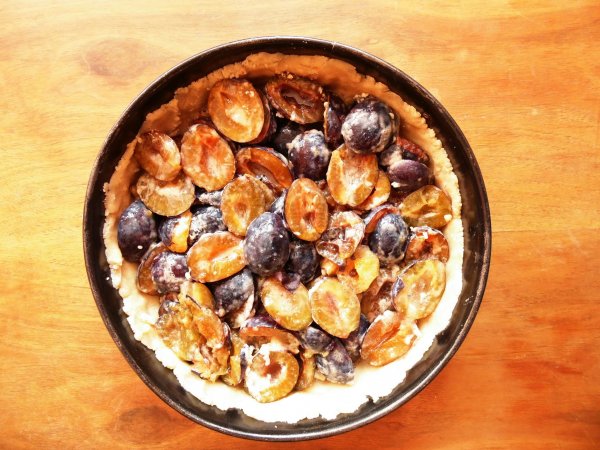 _gastrobertollini_s_ (3)
