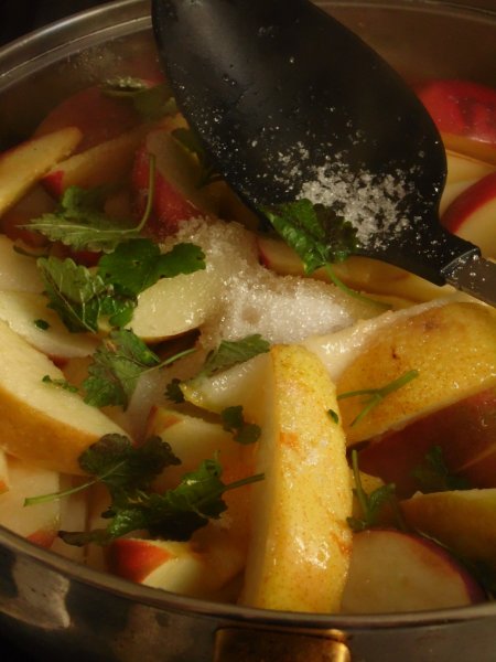 _gastrobertollini_s_ (8)