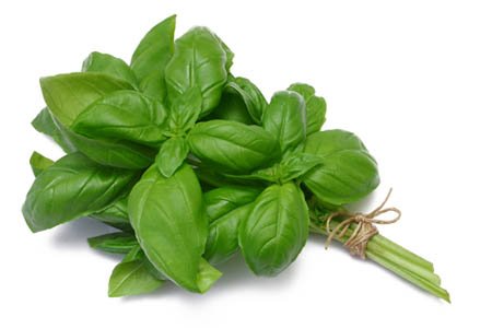_gastrobertollini_bazsalikom_